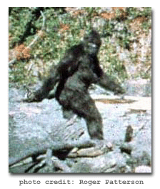 Bob Patterson photo of Bigfoot