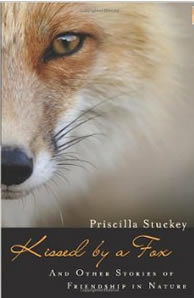 Kissed by a fox