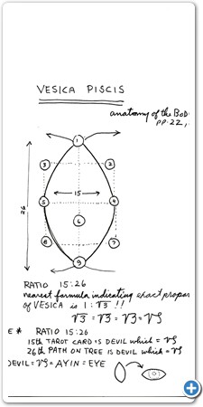 capricornhomework08
